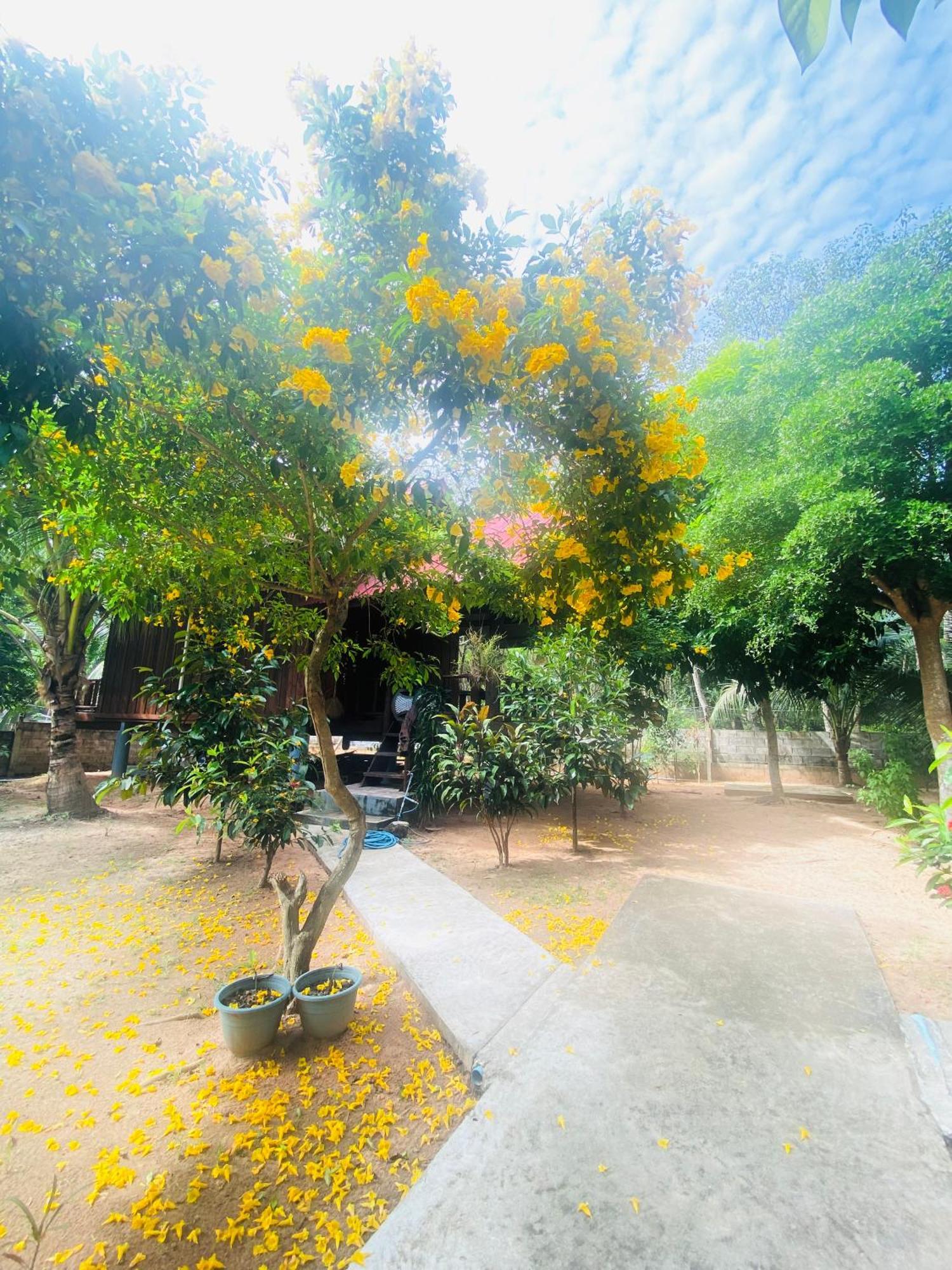 Nadia Resort Kohjum เกาะจำ ภายนอก รูปภาพ