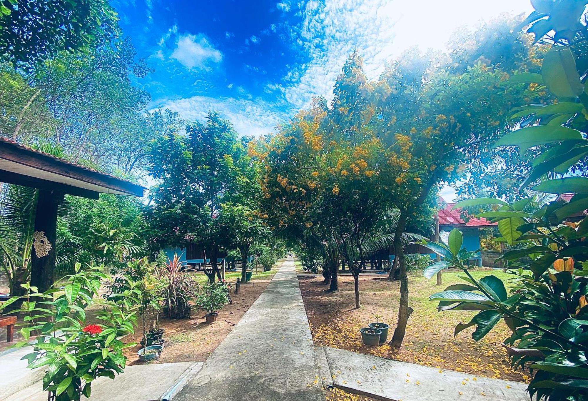 Nadia Resort Kohjum เกาะจำ ภายนอก รูปภาพ