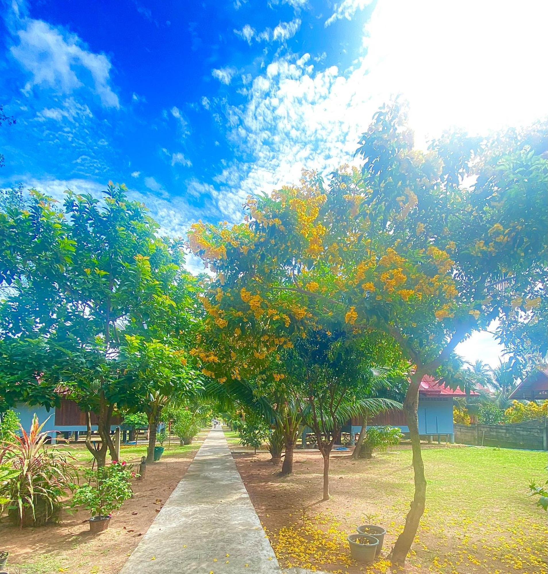Nadia Resort Kohjum เกาะจำ ภายนอก รูปภาพ